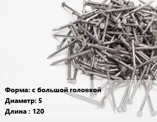 Гвоздь с большой головкой 5х120 белый цинк